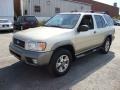 Sahara Beige Metallic - Pathfinder LE 4x4 Photo No. 2