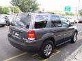 Dark Shadow Grey Metallic - Escape XLT V6 4WD Photo No. 6