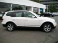 Alpine White - X3 3.0si Photo No. 4