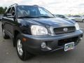 2004 Moonlit Blue Hyundai Santa Fe GLS 4WD  photo #12