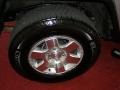 Titanium Metallic - FJ Cruiser 4WD Photo No. 10