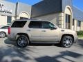 2007 Radiant Bronze Cadillac Escalade AWD  photo #7