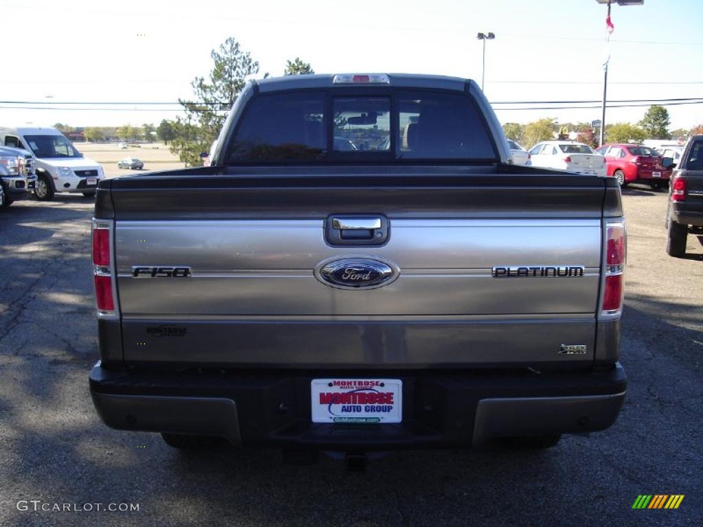 2010 F150 Platinum SuperCrew 4x4 - Sterling Grey Metallic / Medium Stone Leather/Sienna Brown photo #4