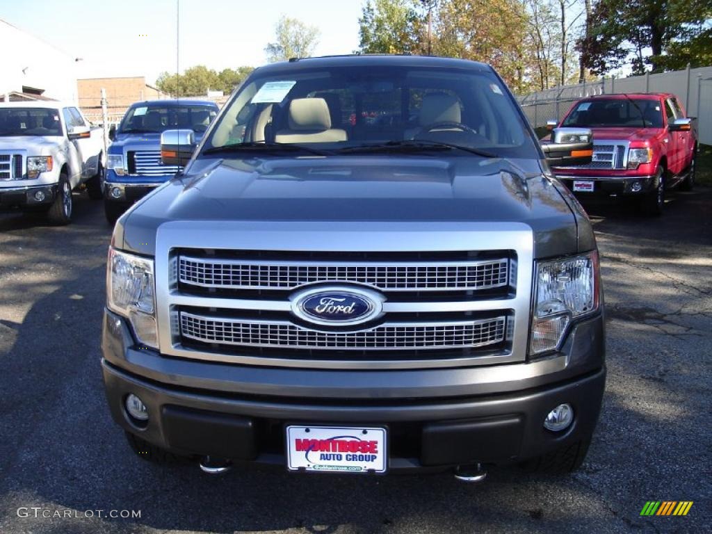 2010 F150 Platinum SuperCrew 4x4 - Sterling Grey Metallic / Medium Stone Leather/Sienna Brown photo #8