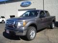 2010 Sterling Grey Metallic Ford F150 XLT SuperCrew 4x4  photo #1