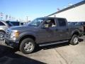 2010 Sterling Grey Metallic Ford F150 XLT SuperCab 4x4  photo #1