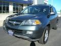 2004 Sagebrush Pearl Acura MDX   photo #1