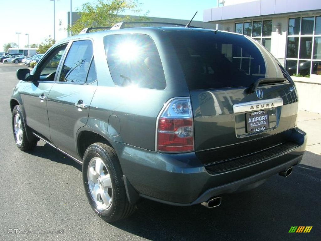 2004 MDX  - Sagebrush Pearl / Quartz photo #7