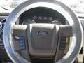 2010 Blue Flame Metallic Ford F150 XLT SuperCrew 4x4  photo #7