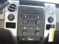 2010 Blue Flame Metallic Ford F150 XLT SuperCrew 4x4  photo #8