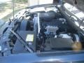 Black - TrailBlazer LS 4x4 Photo No. 20