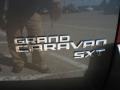 2010 Dark Titanium Metallic Dodge Grand Caravan SXT Crew  photo #14