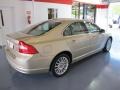 Shimmer Gold Metallic - S80 3.2 Photo No. 4