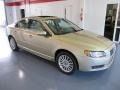 Shimmer Gold Metallic - S80 3.2 Photo No. 5
