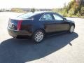 Black Raven - CTS 3.0 Sedan Photo No. 8
