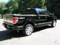 Black - F150 Platinum SuperCrew 4x4 Photo No. 8