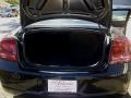 Brilliant Black Crystal Pearl - Charger  Photo No. 21