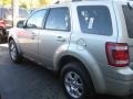 2011 Gold Leaf Metallic Ford Escape Limited 4WD  photo #1