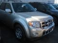 2011 Gold Leaf Metallic Ford Escape Limited 4WD  photo #2