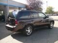 Dark Cherry Metallic - TrailBlazer LT 4x4 Photo No. 6