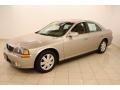 Light Parchment Gold Metallic - LS V8 Photo No. 3