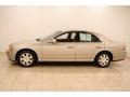 Light Parchment Gold Metallic - LS V8 Photo No. 4