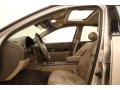 Light Parchment Gold Metallic - LS V8 Photo No. 9