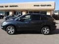 Flint Gray Mica - RX 330 AWD Thundercloud Edition Photo No. 4