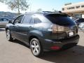 Flint Gray Mica - RX 330 AWD Thundercloud Edition Photo No. 5