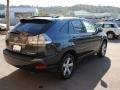 Flint Gray Mica - RX 330 AWD Thundercloud Edition Photo No. 7