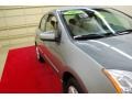 Magnetic Gray Metallic - Sentra 2.0 Photo No. 13