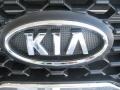 2011 Pacific Blue Kia Sorento LX  photo #25