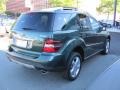 2008 Jade Green Metallic Mercedes-Benz ML 350 4Matic  photo #4