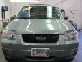 2006 Titanium Green Metallic Ford Escape Hybrid 4WD  photo #19