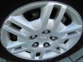 2005 Magnesium Pearl Dodge Grand Caravan SE  photo #9