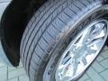 Silver Steel Metallic - 300 C HEMI Photo No. 32