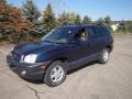 2004 Moonlit Blue Hyundai Santa Fe GLS 4WD  photo #2