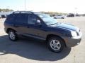 2004 Moonlit Blue Hyundai Santa Fe GLS 4WD  photo #6