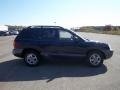 2004 Moonlit Blue Hyundai Santa Fe GLS 4WD  photo #7