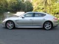 Platinum Silver Metallic - Panamera Turbo Photo No. 3