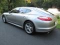 Platinum Silver Metallic - Panamera Turbo Photo No. 4