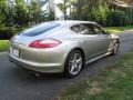 Platinum Silver Metallic - Panamera Turbo Photo No. 6