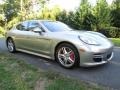 Platinum Silver Metallic - Panamera Turbo Photo No. 8