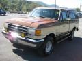 1991 Desert Tan Metallic Ford F150 Lariat Regular Cab 4x4  photo #2