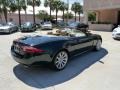 British Racing Green - XK XK8 Convertible Photo No. 6