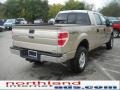 2010 Pueblo Gold Metallic Ford F150 XLT SuperCrew 4x4  photo #6