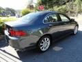 2008 Carbon Gray Pearl Acura TSX Sedan  photo #4