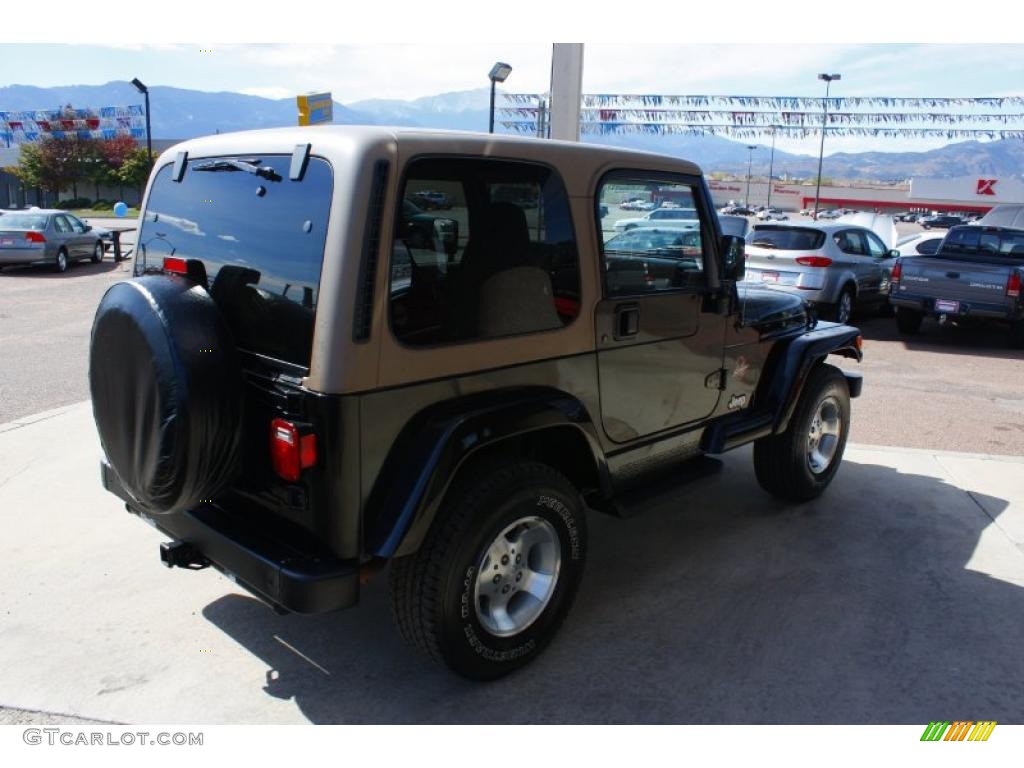 2002 Wrangler Sahara 4x4 - Black / Camel Beige/Dark Green photo #3
