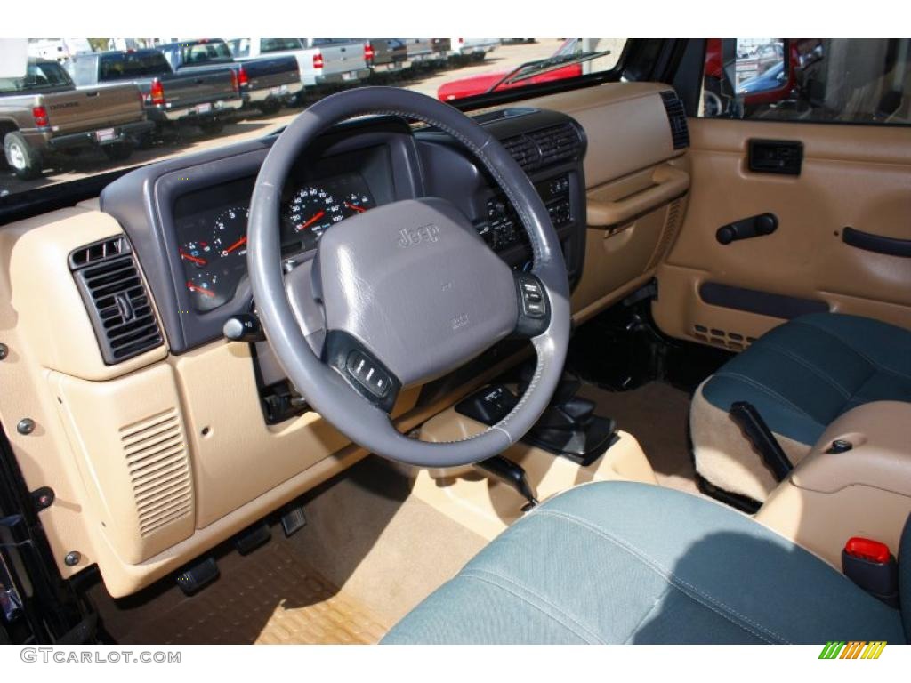 2002 Wrangler Sahara 4x4 - Black / Camel Beige/Dark Green photo #6