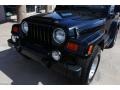 Black - Wrangler Sahara 4x4 Photo No. 14